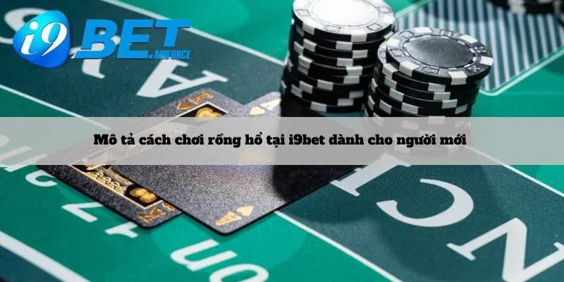 Mô tả cách chơi rồng hổ tại i9bet dành cho người mới 